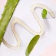 Kép 3/3 - CENTIFOLIA Aloe Vera gél 200 ml