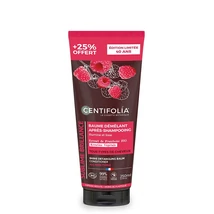 Centifolia hajbalzsam