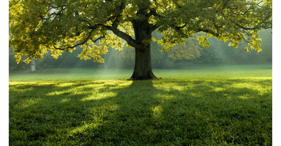 Miért legyen natúr kozmetikum?