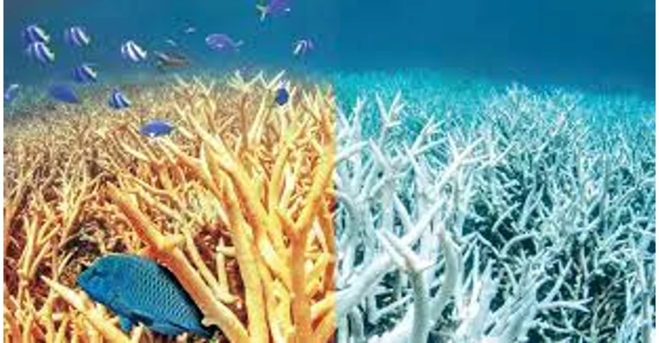 Fényvédelem tudatosan!