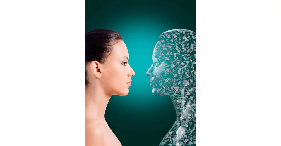 Amit belül teszünk, az kívül is megjelenik – így függ össze a táplálkozás, a bőrmegújulás és a bőrápolás