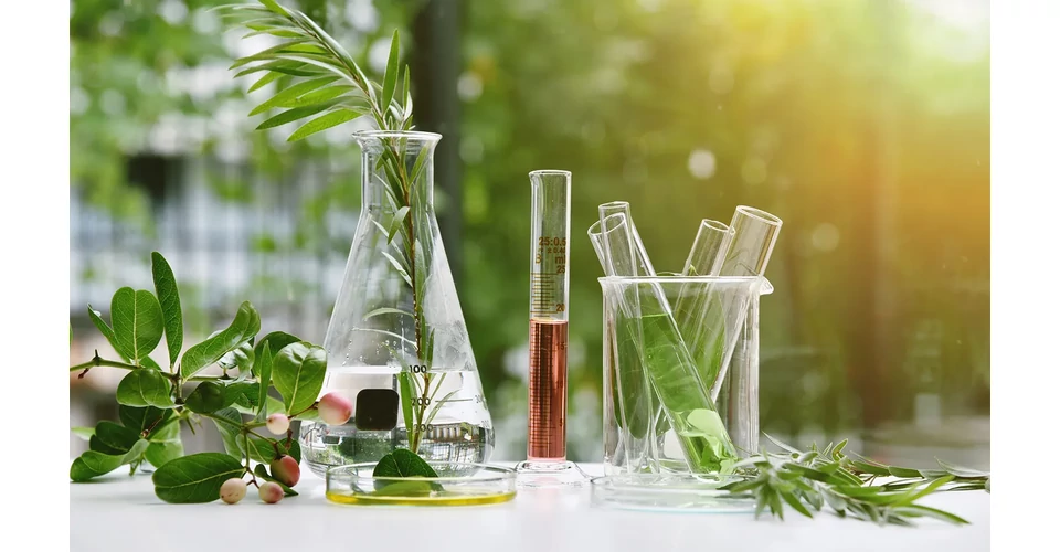 Mi a különbség az organikus és a természetes kozmetikumok között?